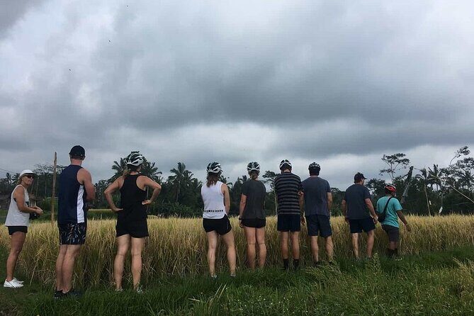 Ubud Wonderful Afternoon Downhill Cycling Tour - The Sum Up