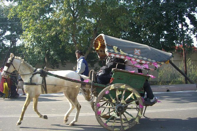Udaipur - Guided walking tour with Famous Tonga Ride - A Closer Look at the Experience