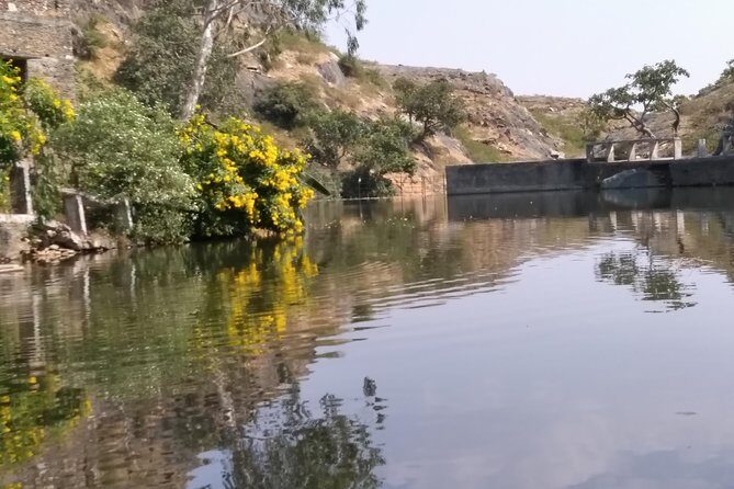 Udaipur Sightseeing Day Tour with Professional Guide - Who Will Love This Tour?
