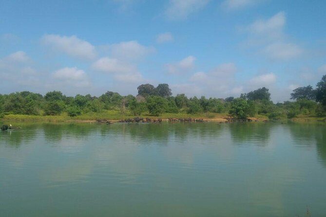 Udawalawe Jeep Safari - Ahungalla & Kosgoda Hotels - FAQ