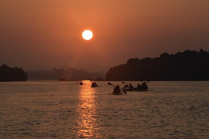 Udawalawe Jeep Safari from Kalutara & Wadduwa Hotels - Insights from Past Travelers