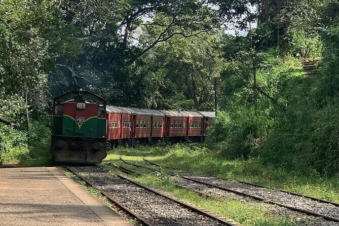 Udawalawe Jeep Safari from Kalutara & Wadduwa Hotels - Why This Tour Is a Great Choice