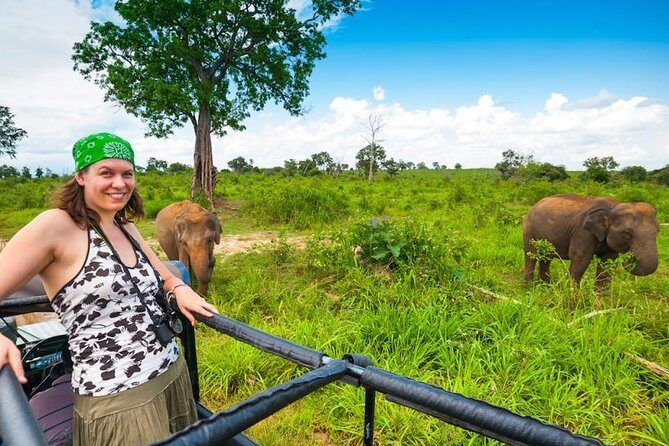 Udawalawe National Park and Elephant Transit Home From Galle - A Close Look at the Itinerary and What to Expect