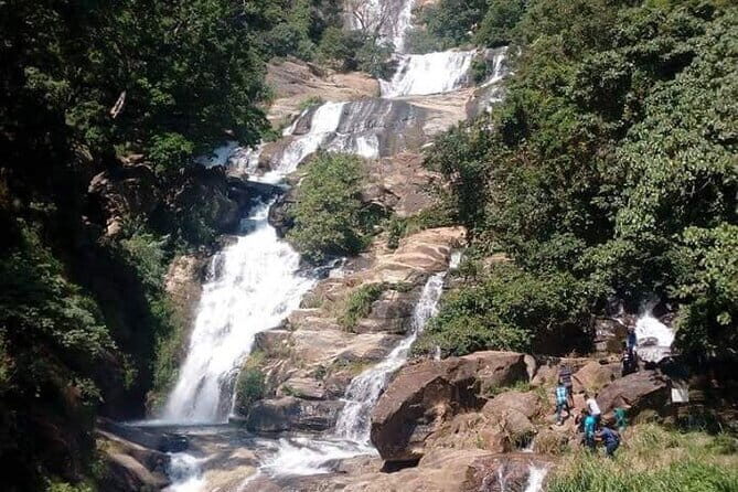 Udawalawe National Park Jeep Safari From Ella / Bandarawela - Return Journey & Hotel Drop-Off