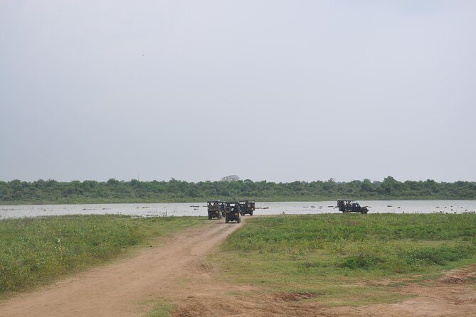 Udawalawe National Park Safari from Bentota - Who Should Consider This Tour?