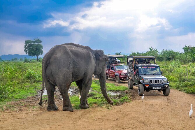 Udawalawe National Park Safari from Colombo - FAQ