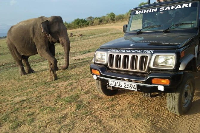 Udawalawe National Park Safari | From Ella - Who Is This Tour Best For?