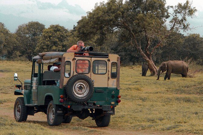 Udawalawe National Park Safari from Mirissa - Final Thoughts