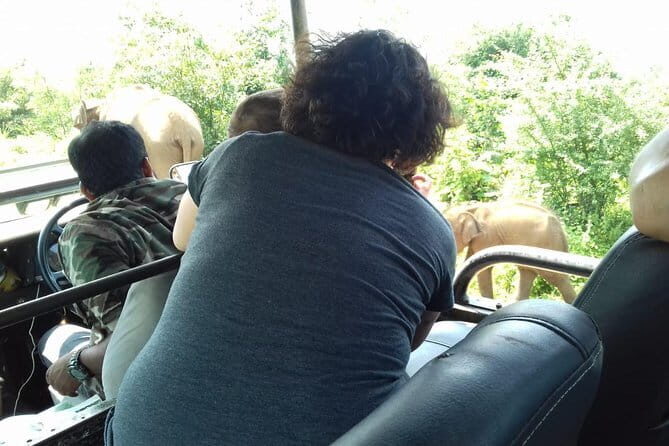 Udawalawe National Park Safari Trip from Ella - Who Should Consider This Tour?