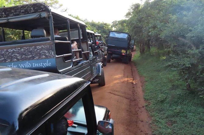 Udawalawe National Park Safari trip from Galle/Mirissa/Ella - Frequently Asked Questions