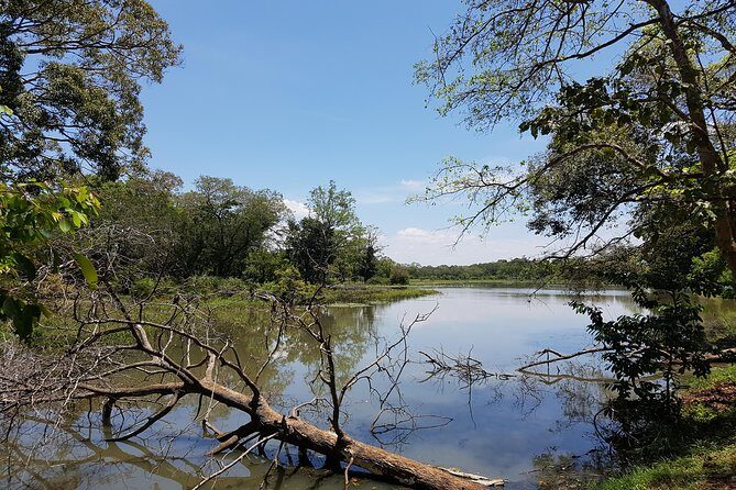 Udawalawe National Park Safari trip from Galle/Mirissa/Ella - Travel Tips & Considerations