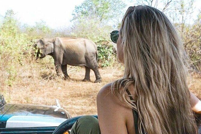 Udawalawe National Park Safari With Travaling Unawatuna To Ella - Key Points