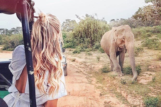 Udawalawe national park tour from bentota with jeep safari - Who Should Book This Tour?