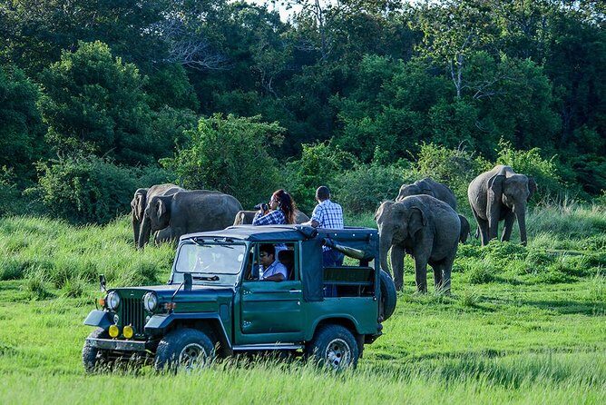 Udawalawe Safari Day Trip with Return Transport - All Inclusive - Final Thoughts: The Perfect Wildlife Escape for Sri Lanka Visitors
