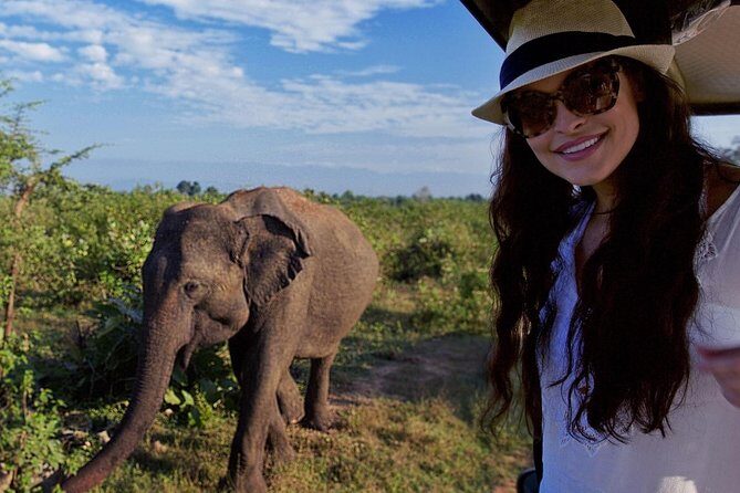 Udawalawe Safari DayTrip frm Bentota/Kalutara/Ahungalla/Hikkaduwa - The Full Experience: What to Expect on This Udawalawe Safari Day Trip
