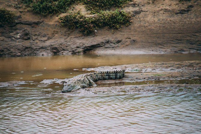 Udawalawe Safari DayTrip frm Bentota/Kalutara/Ahungalla/Hikkaduwa - FAQ
