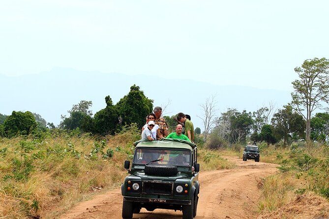 Udawalawe Safari Tour from Hambantota - Weather and Cancellation Policy