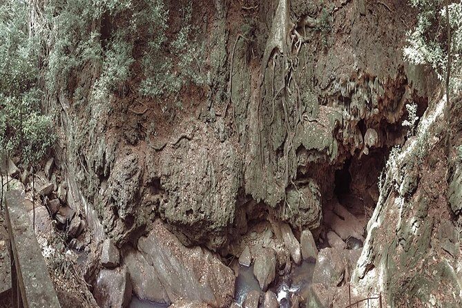 Udawalawe Safari & Waulpane Caving day tour from Colombo - The Sum Up