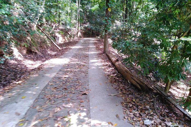 Udawatte Kele Santuary with Nature Walk from Kandy - Exploring the Udawatte Kele Sanctuary with a Nature Walk from Kandy