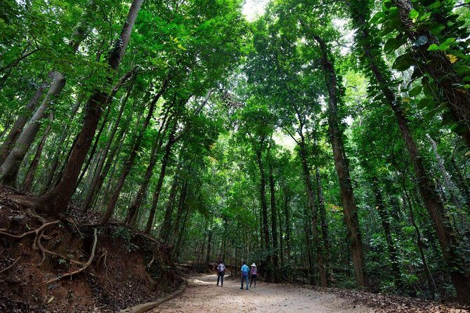 Udawatte Kele Santuary with Nature Walk from Kandy - An In-Depth Look at the Udawatte Kele Sanctuary Tour