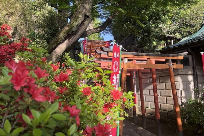 Ueno and Yanaka Culture Art Walking Tour in Old Tokyo - Practical Tips for Future Travelers