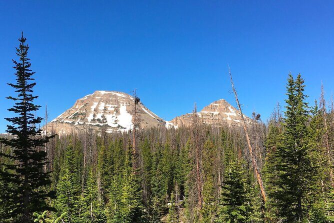 Uinta Mountains Birding and Nature Expedition - Who Should Consider This Tour?