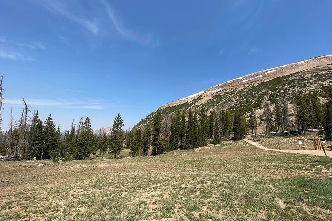 Uinta Mountains Birding and Nature Expedition - FAQs