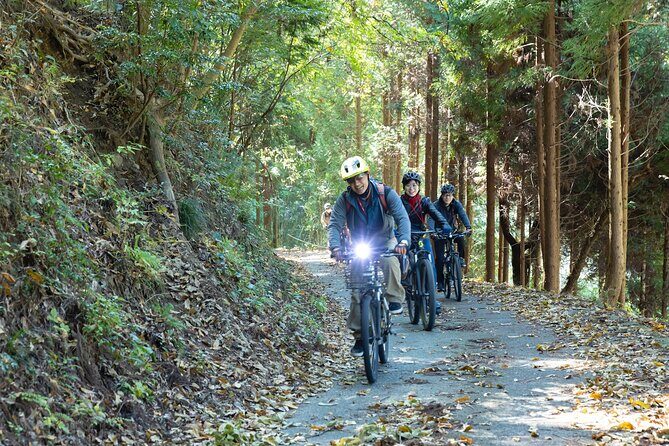 Ukiha's Private Forest Ride - An In-Depth Look at Ukiha’s Private Forest Ride
