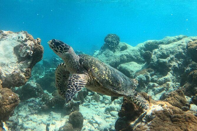 Ukulhas Tour A - 3 Points Snorkeling Tour - Final Thoughts: Is This Tour for You?