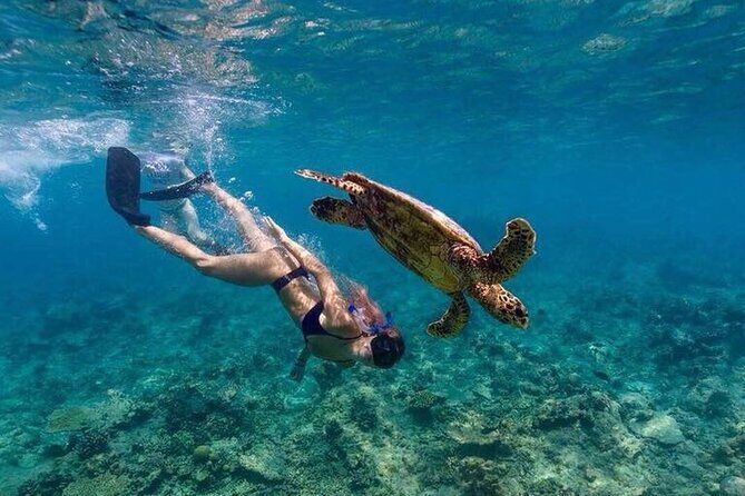 Ukulhas Tour C - Snorkeling & Island Hopping Tour - Exploring the Itinerary in Detail