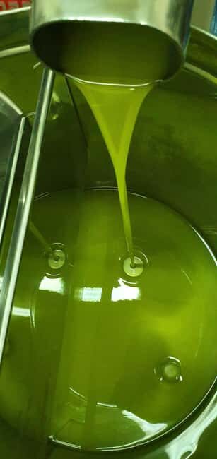 Uljara sv. Ivan Vodice: Olive Oil Tasting and Oil Mill Tour - Practical Details: Price, Duration, and Accessibility