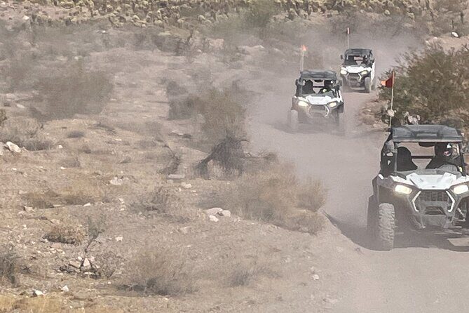 Ultimate Adventure: RZR + Ghost Town + Gold Mine + Games + Lunch - Who Will Love This Tour?