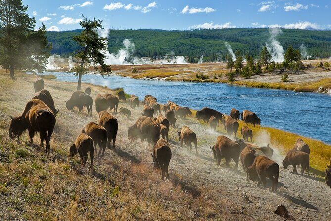 Ultimate Audio Tours: Yellowstone, Glacier, Grand Teton & Banff - Banff — Canada’s Crown Jewel
