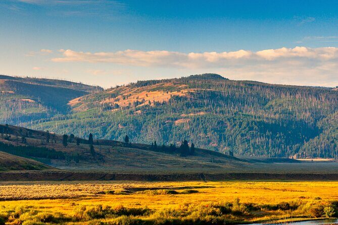 Ultimate Audio Tours: Yellowstone, Glacier, Grand Teton & Banff - Final Thoughts: Is It Worth It?
