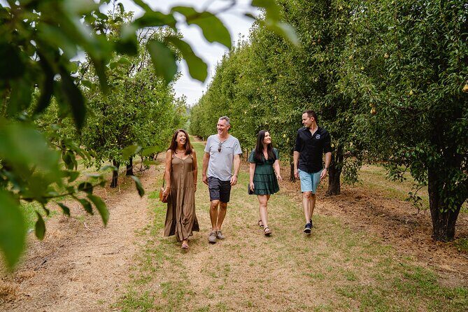 Ultimate Bickley Valley: Wine, Gin & Cider - Small Group Tour - The Sum Up