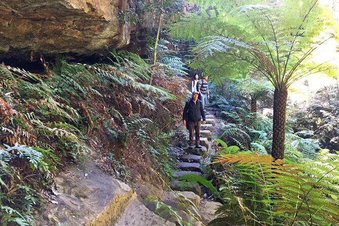 Ultimate Blue Mountains Private Tour with Scenic World and Wildlife Park - Practical Tips for Travelers
