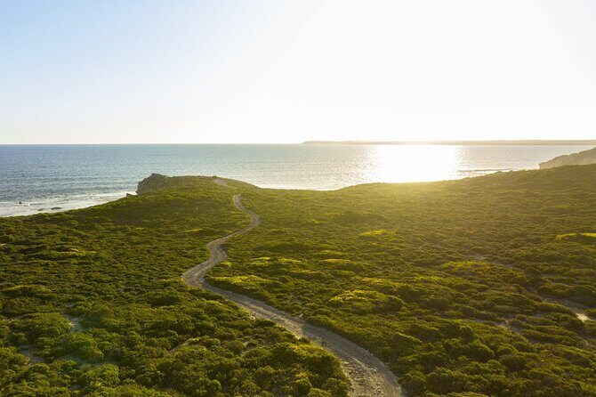 Ultimate Buggy Tour in Kangaroo Island - Detailed Itinerary Breakdown