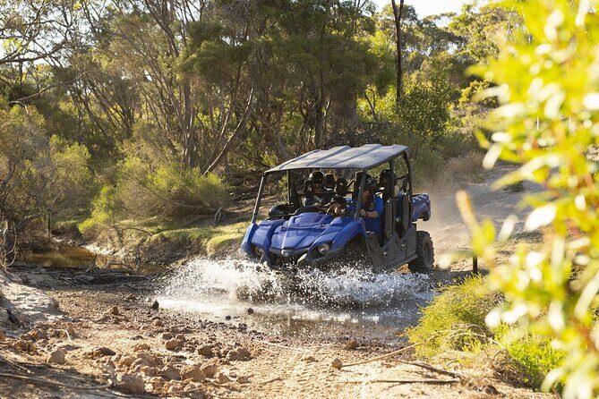 Ultimate Buggy Tour in Kangaroo Island - Who Is This Tour Best Suited For?