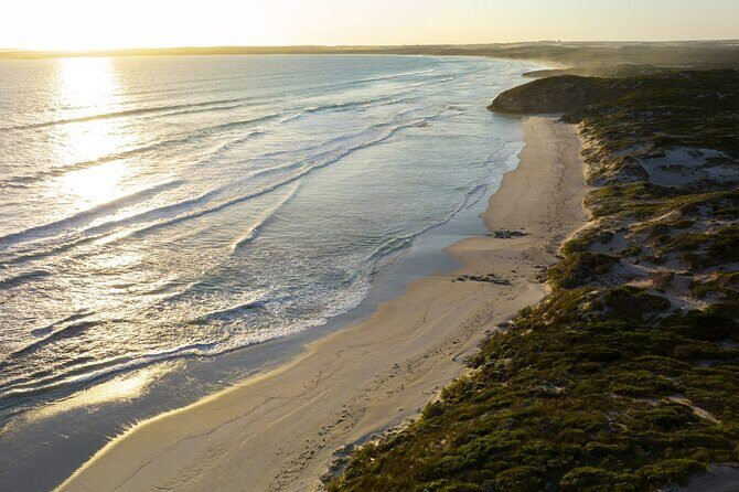Ultimate Buggy Tour in Kangaroo Island - Final Thoughts