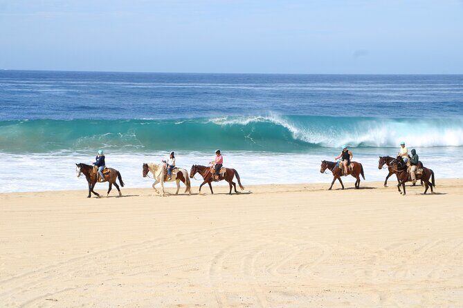 Ultimate Cabo Adventure UTV Horseback and Sky Bike Combo - UTV Adventure: Driving Through Desert and Ocean Views