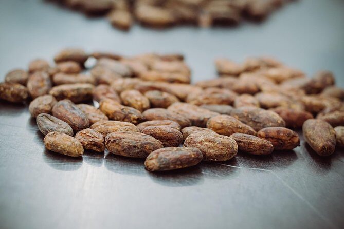 Ultimate Chocolate Tour in Montreal with Included Tastings - Who Will Love This Tour?