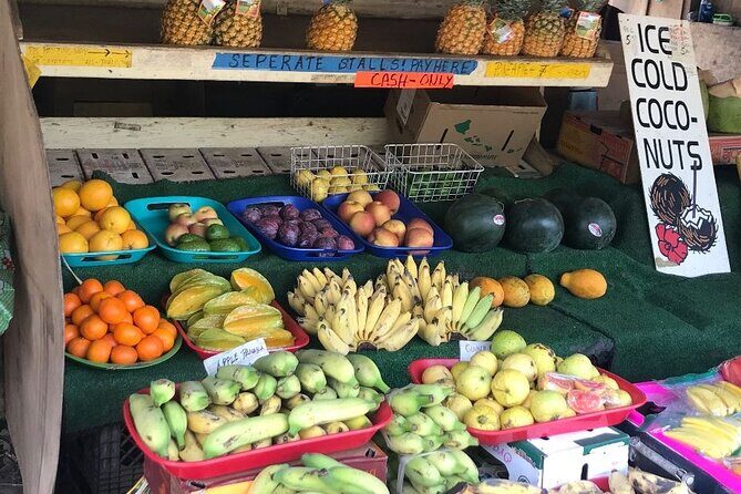 Ultimate Circle Island Experience: Beauty and the Feast - What Makes This Tour Stand Out