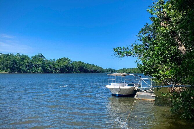 Ultimate Daintree Rainforest Wildlife Experience Cruise - FAQ