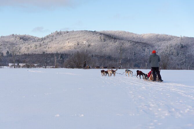 Ultimate Dog Sledding Tour - Day trip from Ottawa & Gatineau - FAQ
