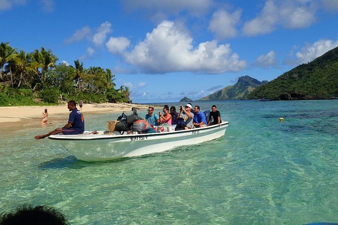 Ultimate Encounter Snorkel with Sharks in Fiji - Who Should Consider This Tour?