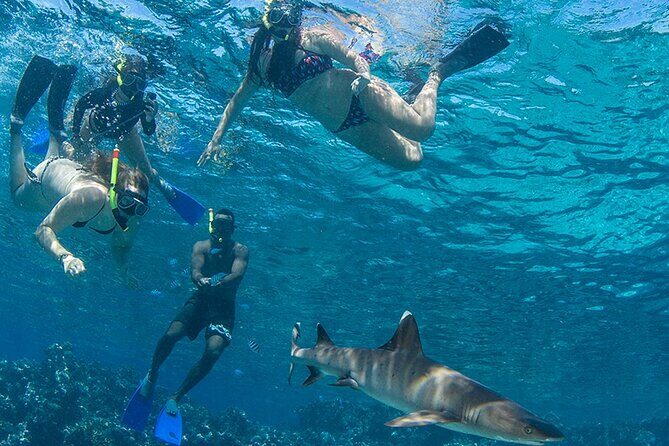 Ultimate Encounters Package - 2 Days | 1 Night - What’s Included and What’s Not