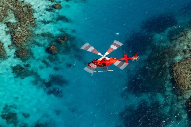 Ultimate Great Barrier Reef and Rainforest 45-minute Helicopter Tour - Exploring the Ultimate Great Barrier Reef and Rainforest Helicopter Tour