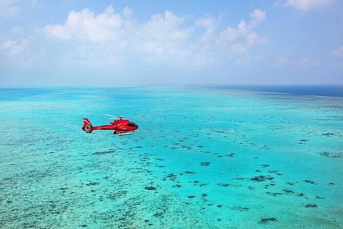 Ultimate Great Barrier Reef and Rainforest 45-minute Helicopter Tour - Who Should Consider This Tour?