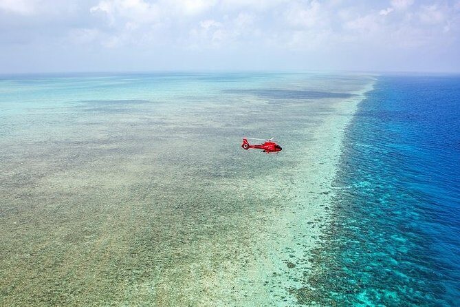 Ultimate Great Barrier Reef and Rainforest 45-minute Helicopter Tour - FAQ