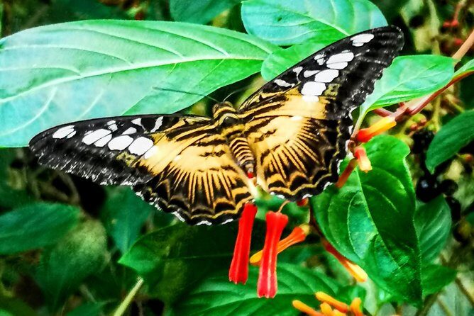 Ultimate Group Package Tour of Victoria - Frequently Asked Questions